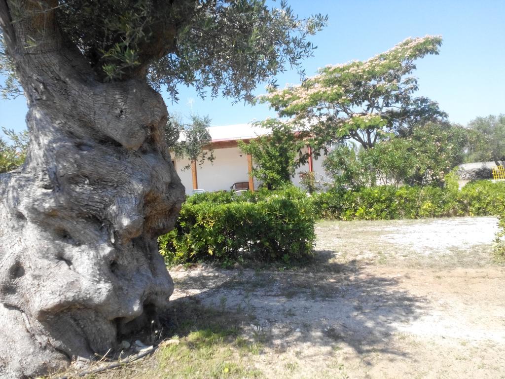Agriturismo Villa Tommaso Torre dell'Orso Luaran gambar